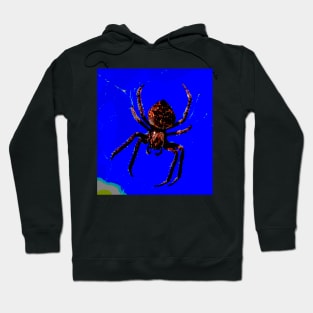 Spider in the Sky! Hoodie